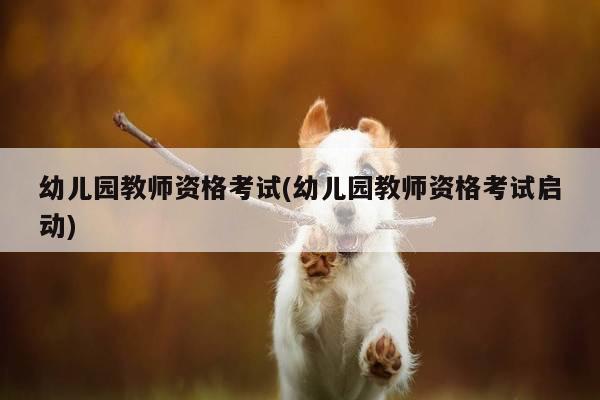 幼儿园教师资格考试(幼儿园教师资格考试启动)