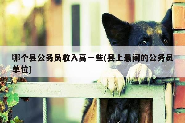 哪个县公务员收入高一些(县上最闲的公务员单位)