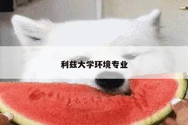 利兹大学环境专业