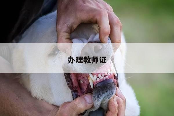 办理教师证