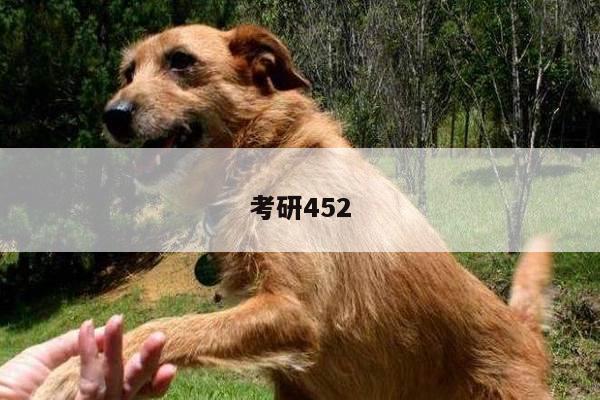 考研452