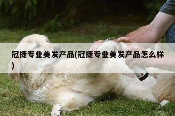 冠捷专业美发产品(冠捷专业美发产品怎么样)