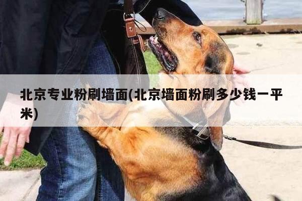 北京专业粉刷墙面(北京墙面粉刷多少钱一平米)