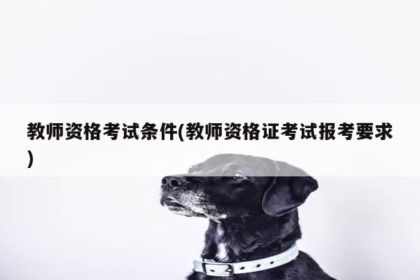 教师资格考试条件(教师资格证考试报考要求)