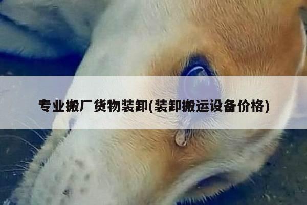专业搬厂货物装卸(装卸搬运设备价格)
