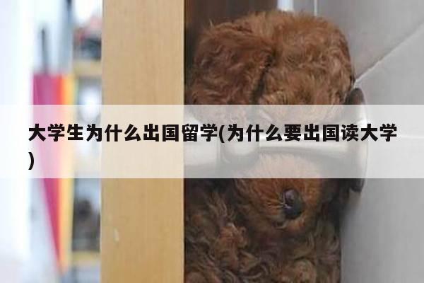 大学生为什么出国留学(为什么要出国读大学)