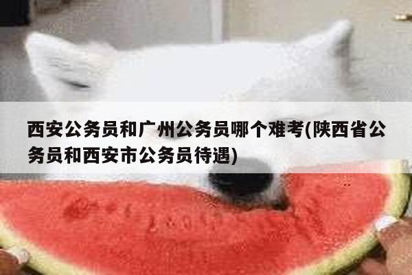 西安公务员和广州公务员哪个难考(陕西省公务员和西安市公务员待遇)