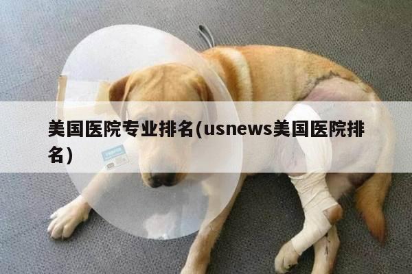 美国医院专业排名(usnews美国医院排名)