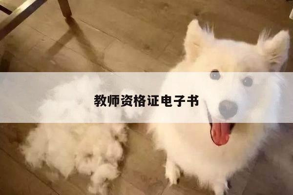 教师资格证电子书