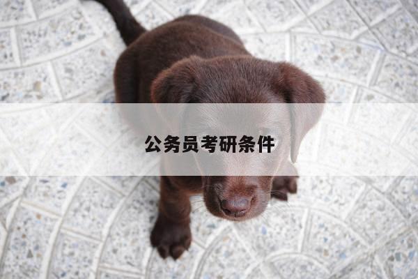 公务员考研条件