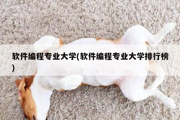 软件编程专业大学(软件编程专业大学排行榜)