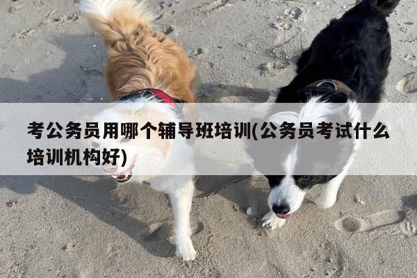 考公务员用哪个辅导班培训(公务员考试什么培训机构好)