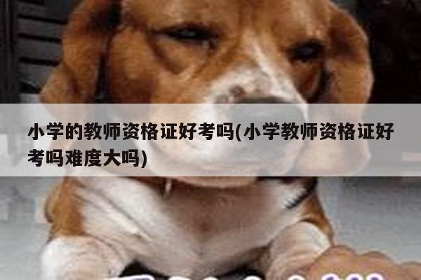 小学的教师资格证好考吗(小学教师资格证好考吗难度大吗)