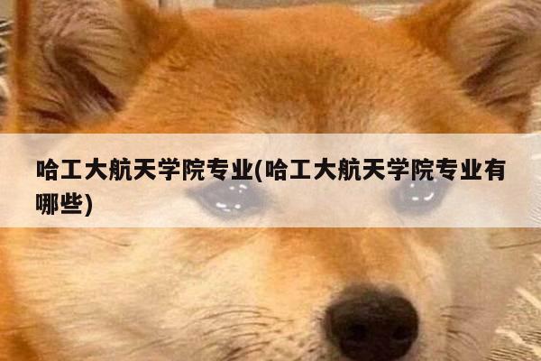 哈工大航天学院专业(哈工大航天学院专业有哪些)
