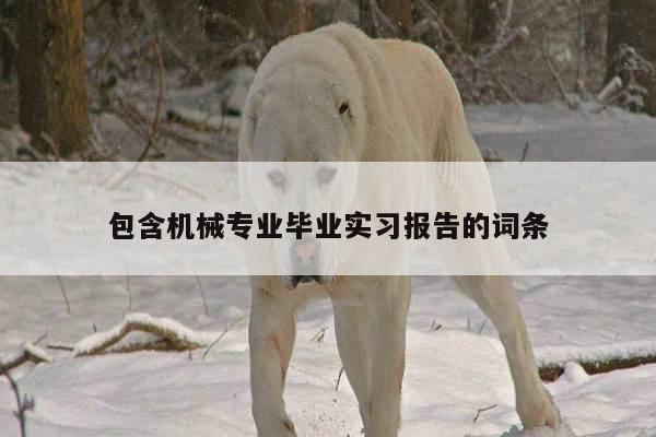 包含机械专业毕业实习报告的词条