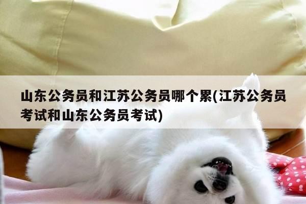 山东公务员和江苏公务员哪个累(江苏公务员考试和山东公务员考试)