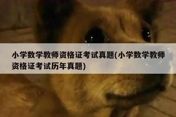 小学数学教师资格证考试真题(小学数学教师资格证考试历年真题)