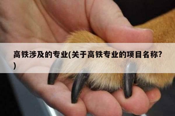高铁涉及的专业(关于高铁专业的项目名称?)