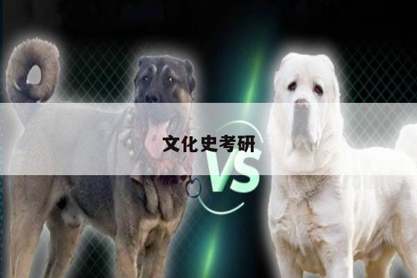 文化史考研