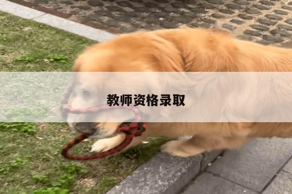 教师资格录取