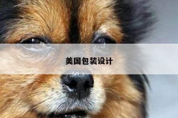 美国包装设计