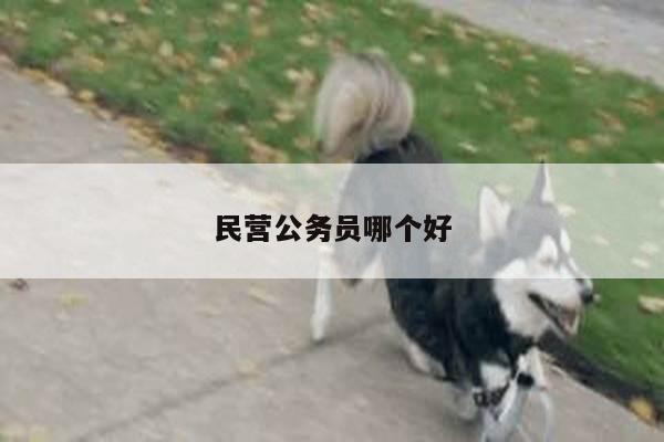 民营公务员哪个好