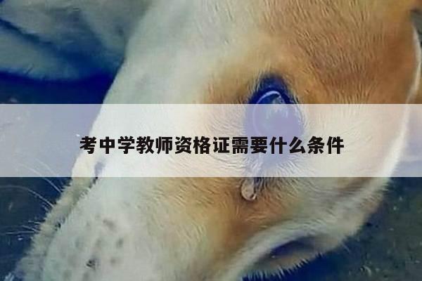 考中学教师资格证需要什么条件