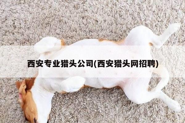 西安专业猎头公司(西安猎头网招聘)