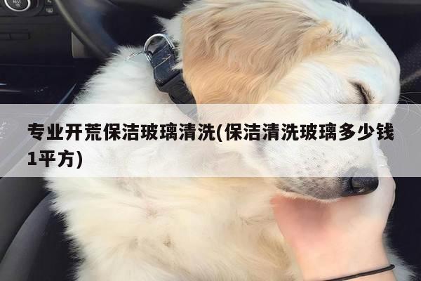 专业开荒保洁玻璃清洗(保洁清洗玻璃多少钱1平方)