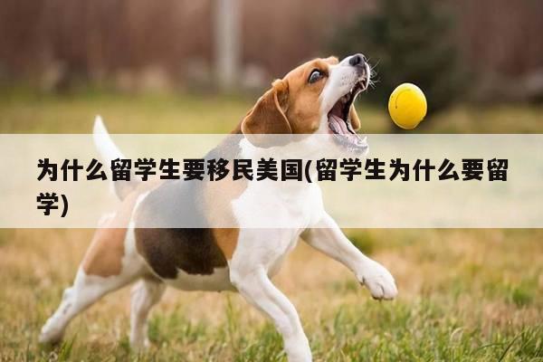 为什么留学生要移民美国(留学生为什么要留学)