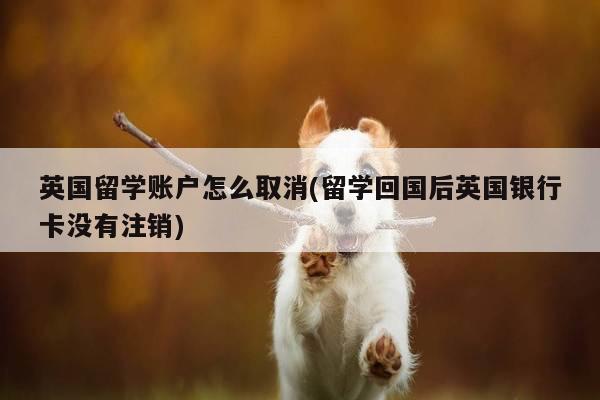 英国留学账户怎么取消(留学回国后英国银行卡没有注销)
