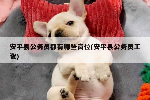 安平县公务员都有哪些岗位(安平县公务员工资)