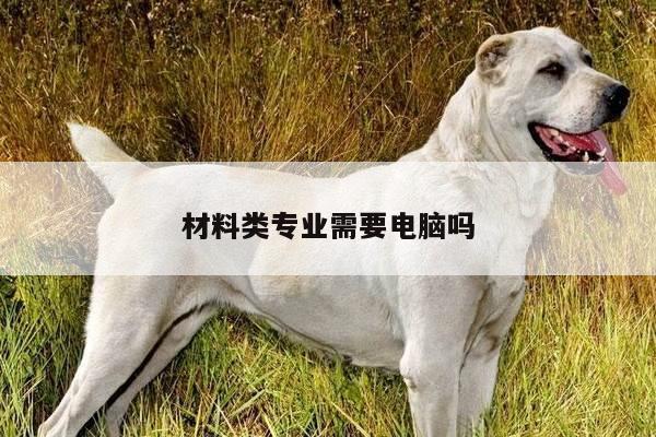 材料类专业需要电脑吗