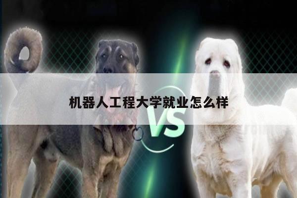 机器人工程大学就业怎么样