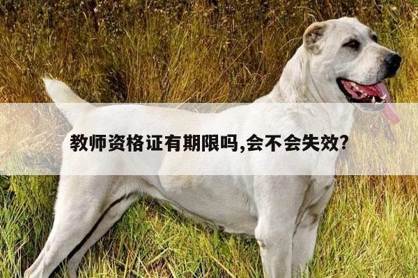 教师资格证有期限吗,会不会失效?