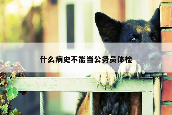 什么病史不能当公务员体检