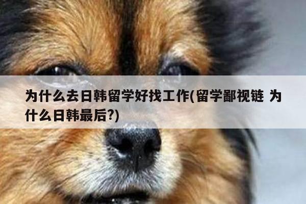 为什么去日韩留学好找工作(留学鄙视链 为什么日韩最后?)