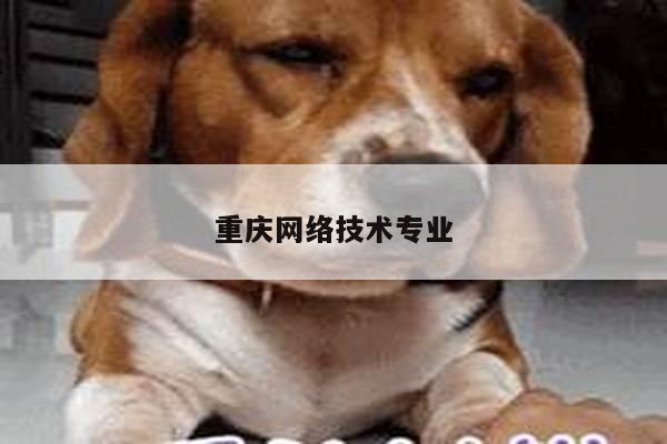 重庆网络技术专业