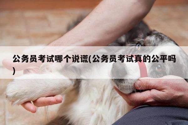公务员考试哪个说谎(公务员考试真的公平吗)