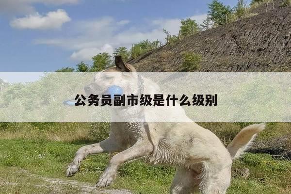 公务员副市级是什么级别