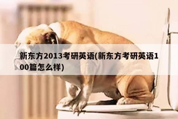 新东方2013考研英语(新东方考研英语100篇怎么样)