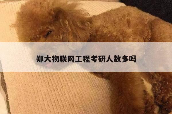 郑大物联网工程考研人数多吗