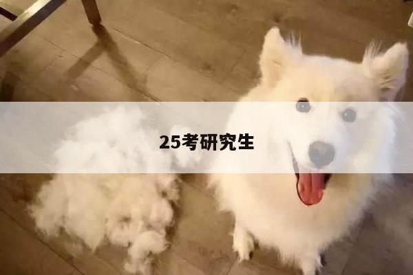 25考研究生