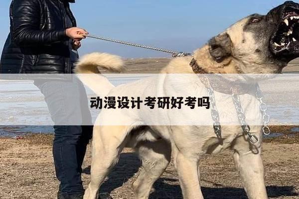 动漫设计考研好考吗