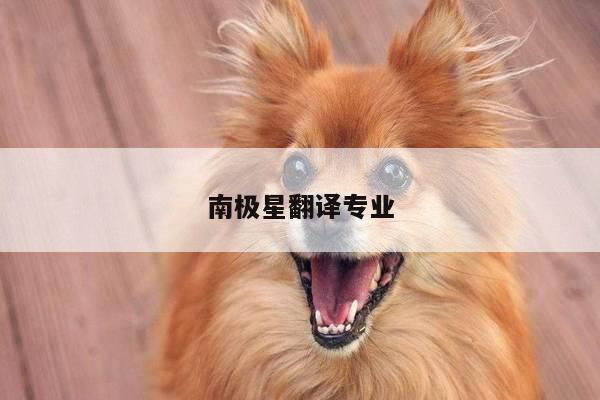 南极星翻译专业