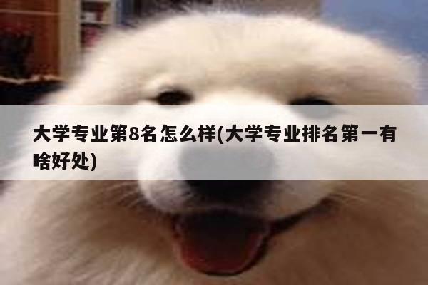 大学专业第8名怎么样(大学专业排名第一有啥好处)