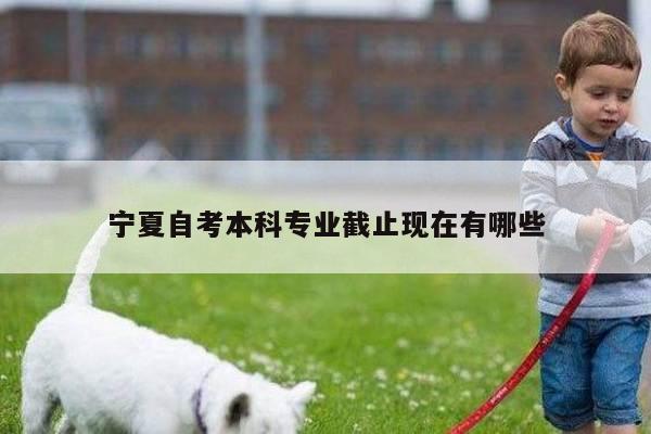 宁夏自考本科专业截止现在有哪些