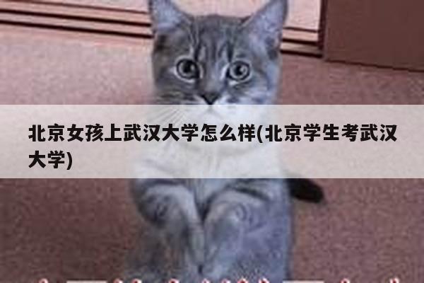 北京女孩上武汉大学怎么样(北京学生考武汉大学)