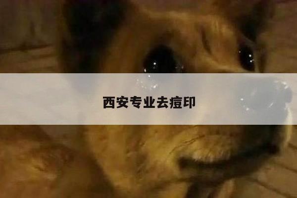 西安专业去痘印