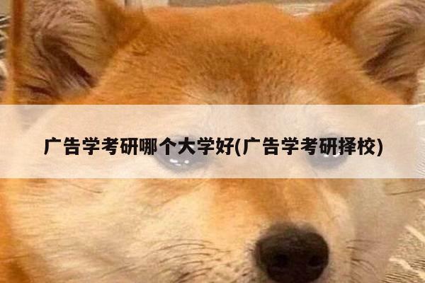 广告学考研哪个大学好(广告学考研择校)